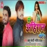 Babloo Bedardi