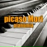 Picaso Mori