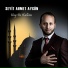 Seyit Ahmet Aygün