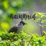 Soundcast