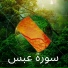 Adel Rayan