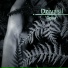Dzivasil