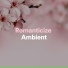 Healing Yoga Meditation Music Consort