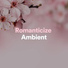 Healing Yoga Meditation Music Consort