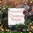 The Christmas Tree Band