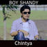 Boy Shandy