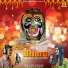 Shivani Bhati, Akashdeep Bissa