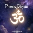 Narayan Prem Sai
