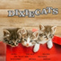 The Dixiecats featuring Dixieland All-Stars