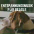 Beruhigende Musik für Hunde