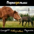 Синдром Навязчивой Радости