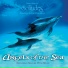 Dan Gibson's Solitudes - Angels Of The Sea