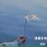 悟道