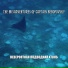 The Misadventures Of Captain Bebopovsky