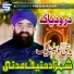 Shahzad Haneef Madni