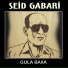 Seid Gabari
