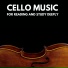 The Healing Project, Schola Camerata