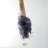 ALOTT