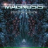 Magnosis