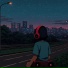 VinylDreamer