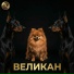 EFREMuz