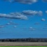 никель и платина