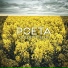 Poeta