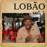 Wilson Lobão