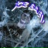 dplexx