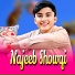 Najeeb Showqi
