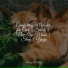 Cat Music Dreams, Music For Cats Peace, RelaxMyCat