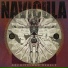 Navicula