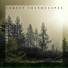 Hypnotic Therapy Music Consort