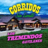 Los Tremendos Gavilanes