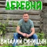 Виталий Синицын