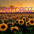 Torzkarz
