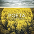 Poeta