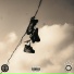 1ndigu, COLTLAB, vnibeatz