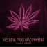 MC John JB, DJ Negritto