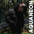 AQUANEON
