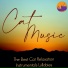 Cat Music, Cat Music Dreams, Cat Music Therapy