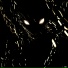 RONVXER, LXKERSON, QMIIR, vioLENchange, 1NZZiDENT