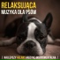 Relaks Psów