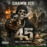 Shawn Ice feat. VoxGad