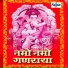 Shrikant Narayan