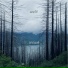 300swift