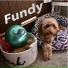Fundy