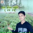 Kuldeep Yadav