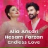 Alia Ansari, Hesam Farzan
