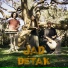 Jad'